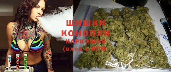 гидра Дмитров
